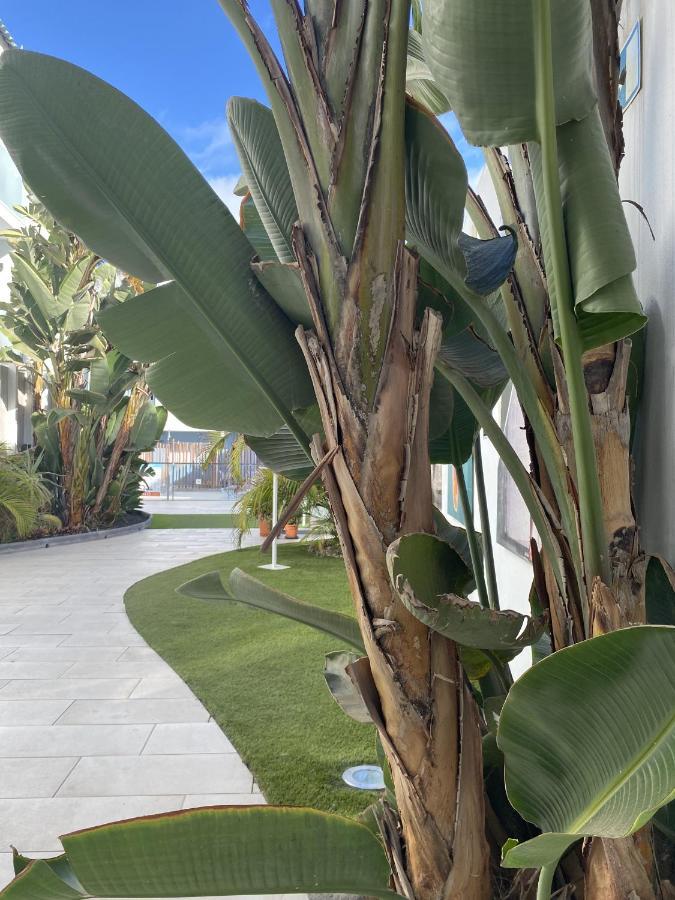 Sun And Surf Stay Corralejo Luaran gambar